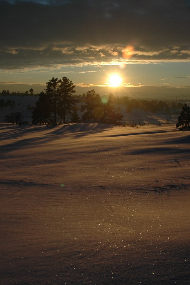 Обои солнце, снег, зима, фото, пейзажи, the sun, snow, winter, photo, landscapes разрешение 1920x1200 Загрузить