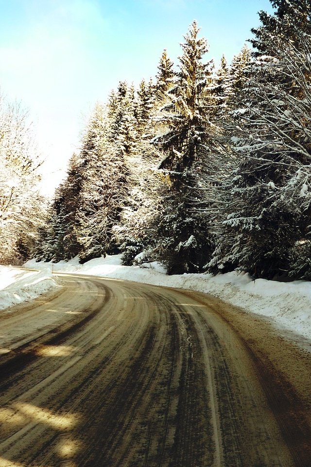 Обои дорога, деревья, снег, зима, елки, road, trees, snow, winter, tree разрешение 2560x1600 Загрузить