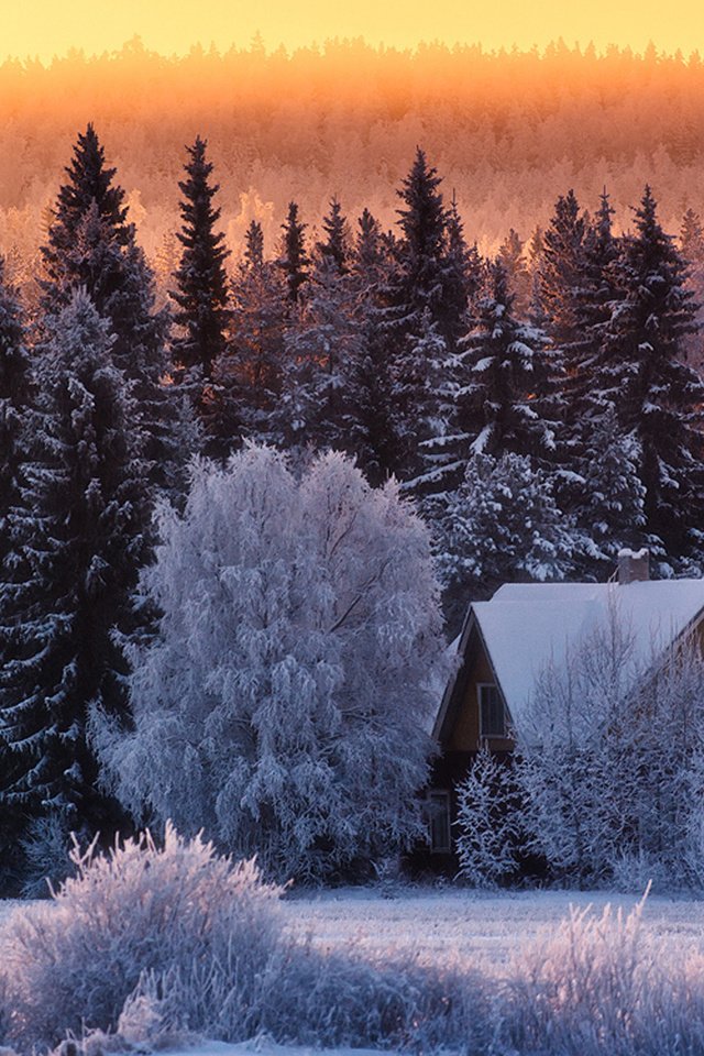 Обои природа, лес, зима, дом, nature, forest, winter, house разрешение 1920x1200 Загрузить