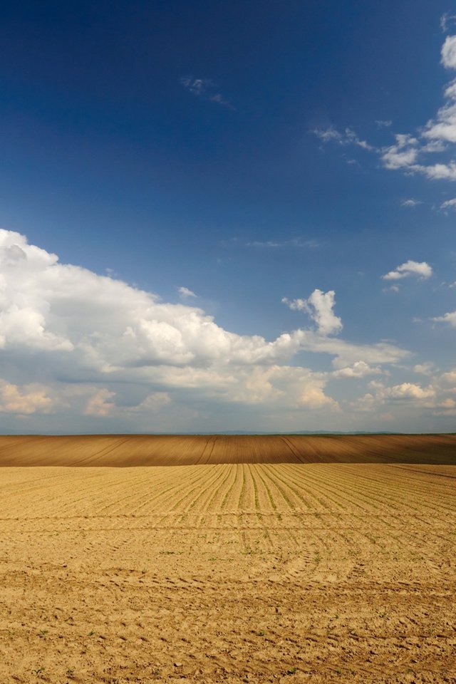 Обои небо, облака, поле, горизонт, the sky, clouds, field, horizon разрешение 1920x1080 Загрузить