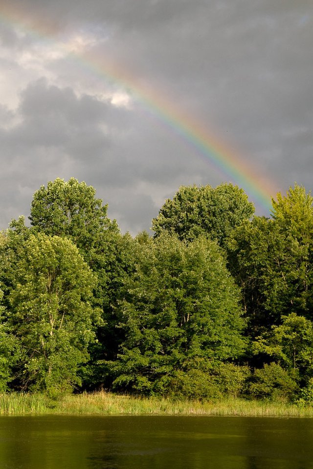 Обои деревья, вода, река, природа, зелень, лес, пейзаж, радуга, trees, water, river, nature, greens, forest, landscape, rainbow разрешение 1920x1200 Загрузить