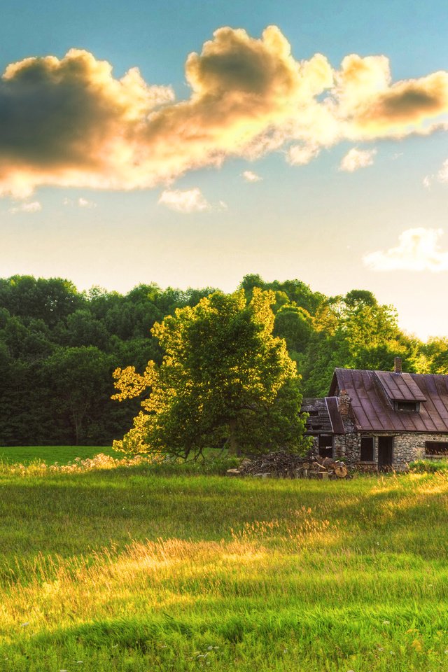 Обои небо, трава, облака, лес, лето, поляна, домик, the sky, grass, clouds, forest, summer, glade, house разрешение 2560x1600 Загрузить