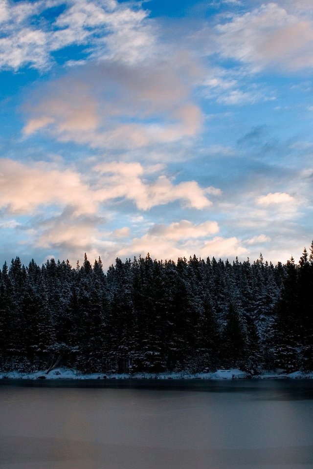 Обои облака, деревья, вода, озеро, лес, clouds, trees, water, lake, forest разрешение 1920x1200 Загрузить