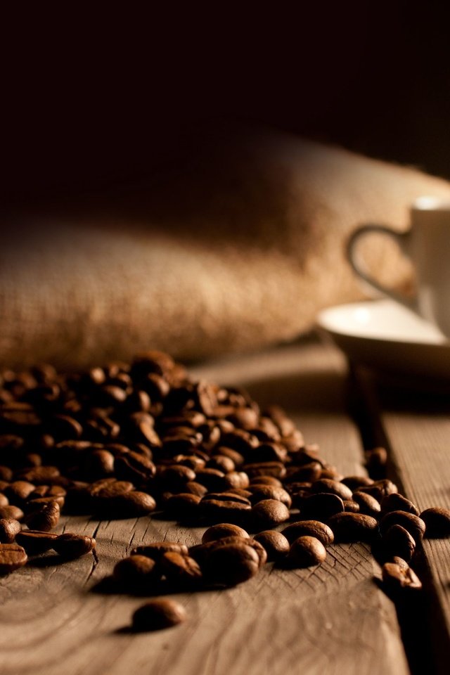 Обои зерна, кофе, доски, пол, чашка, grain, coffee, board, floor, cup разрешение 2560x1700 Загрузить