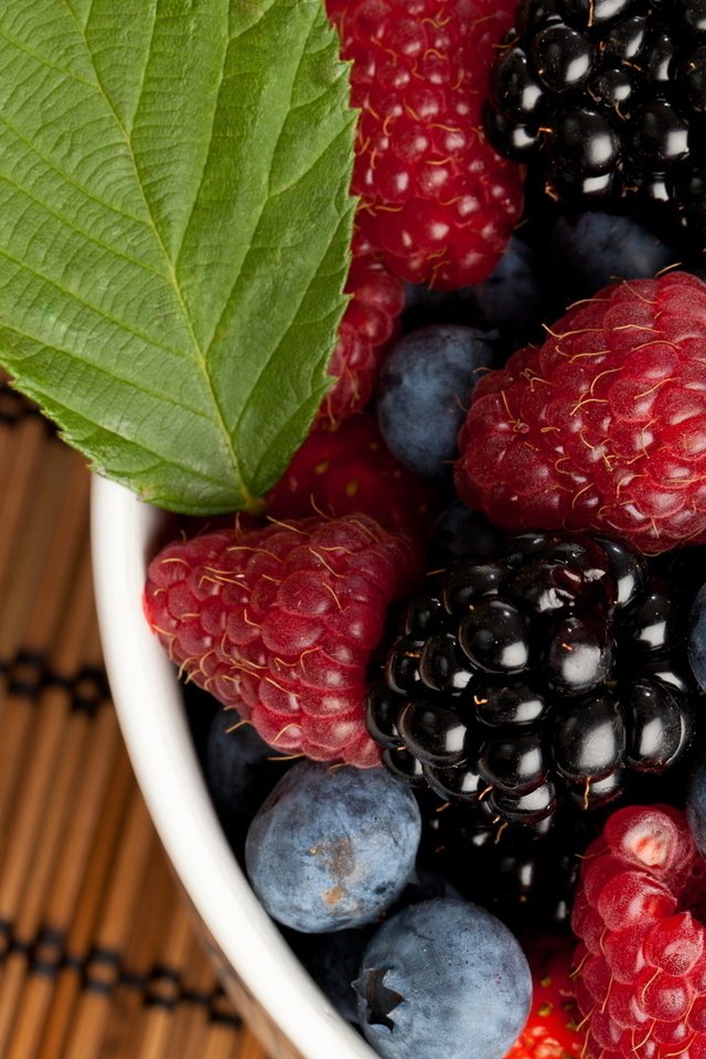 Обои малина, ягоды, черника, ежевика, raspberry, berries, blueberries, blackberry разрешение 1920x1080 Загрузить