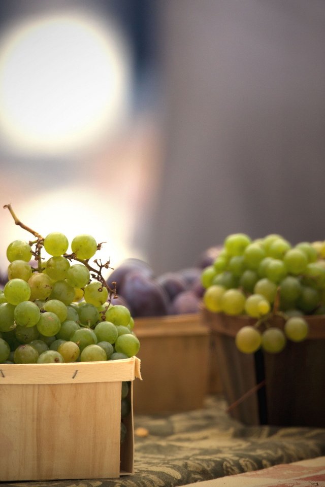 Обои виноград, еда, корзина, grapes, food, basket разрешение 2560x1600 Загрузить