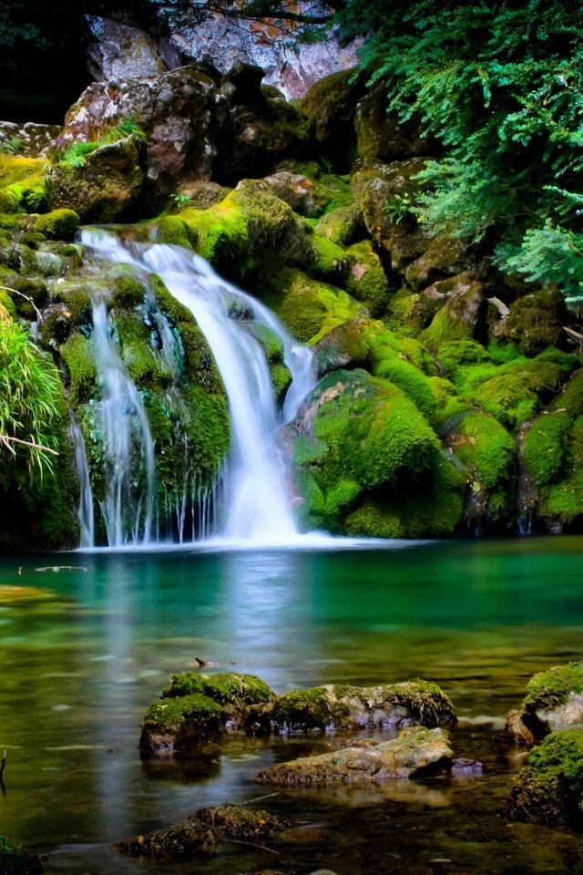 Обои деревья, вода, камни, листья, водопад, мох, trees, water, stones, leaves, waterfall, moss разрешение 2048x1280 Загрузить