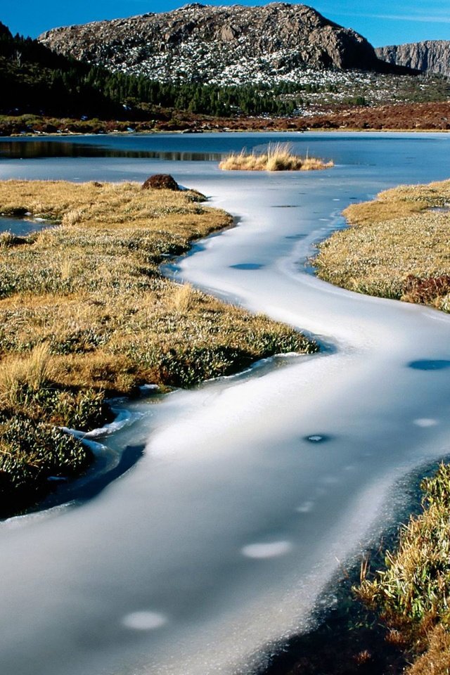 Обои трава, вода, река, камни, лёд, австралия, тасмания, grass, water, river, stones, ice, australia, tasmania разрешение 1920x1440 Загрузить