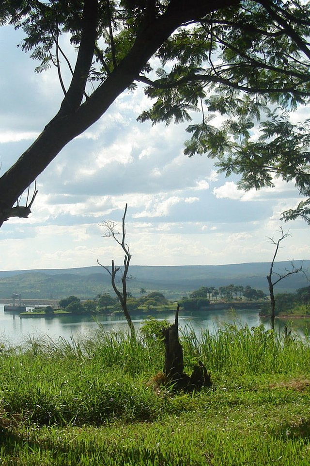 Обои деревья, река, берег, trees, river, shore разрешение 1920x1080 Загрузить