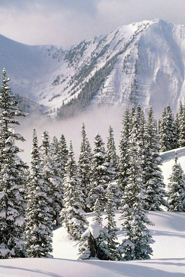 Обои горы, снег, природа, зима, ели, альпы, mountains, snow, nature, winter, ate, alps разрешение 1920x1080 Загрузить