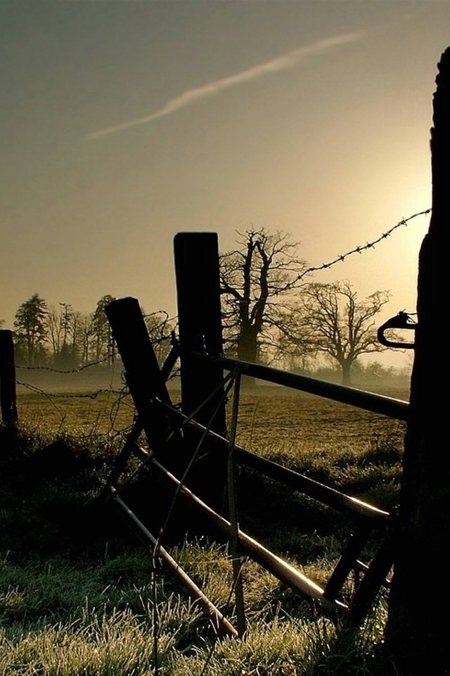 Обои свет, трава, утро, проволока, забор, ограждение, заморозки, light, grass, morning, wire, the fence, freezing разрешение 1920x1080 Загрузить