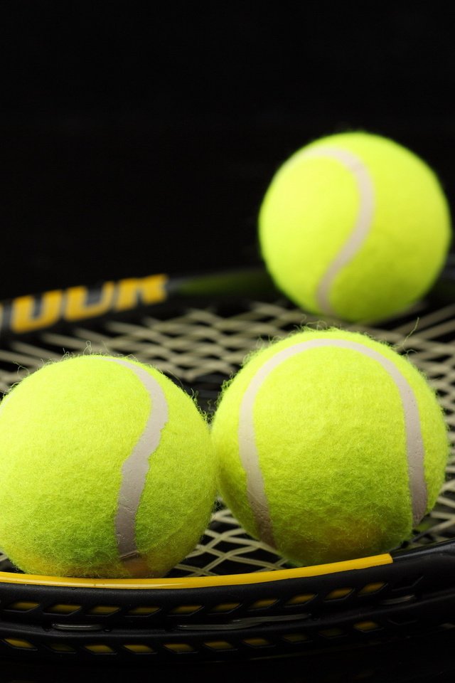 Обои макро, спорт, теннис, ракетка, мячи, macro, sport, tennis, racket, balls разрешение 1920x1280 Загрузить