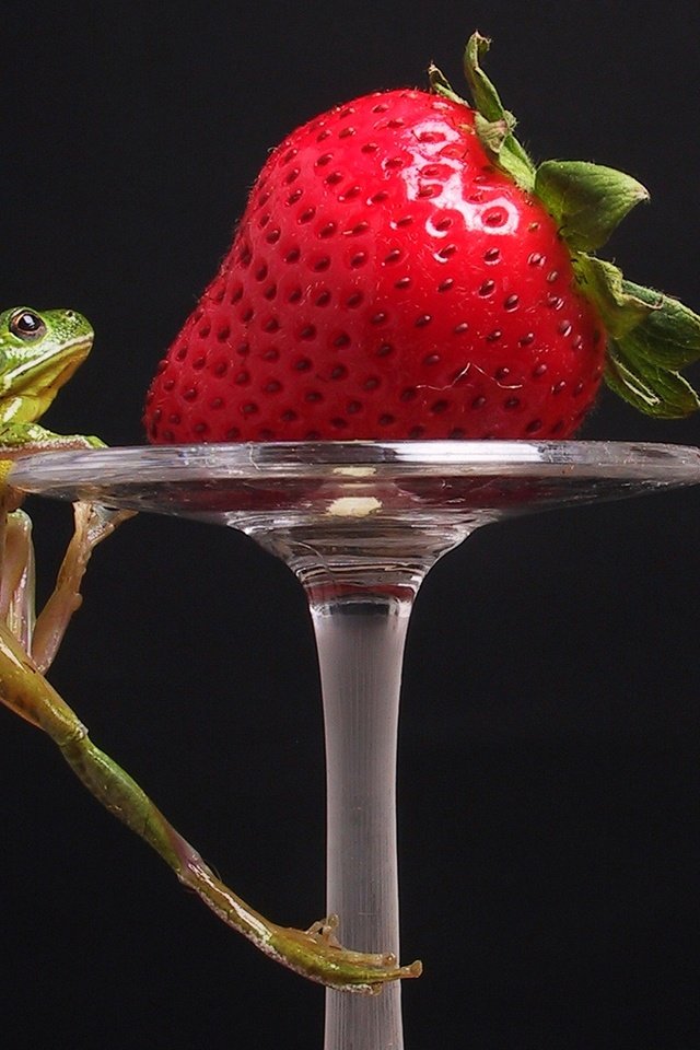 Обои клубника, лягушка, strawberry, frog разрешение 1920x1200 Загрузить