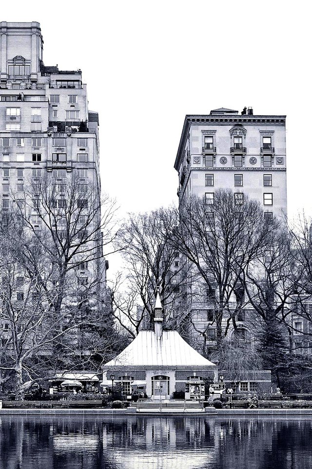 Обои нью-йорк, центральный парк, new york, central park разрешение 1920x1200 Загрузить