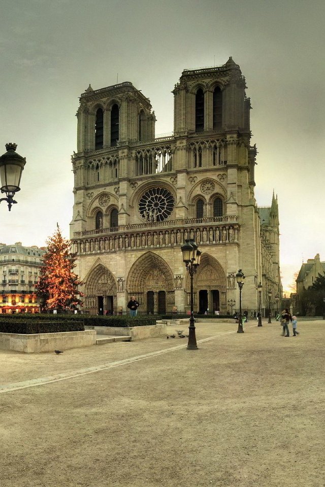 Обои париж, франция, собор парижской богоматери, paris, france, notre dame cathedral разрешение 1920x1200 Загрузить