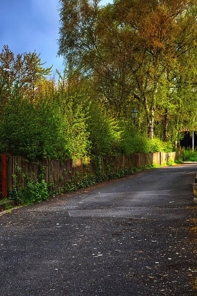 Обои деревья, осень, забор, улица, дом, фонарь, trees, autumn, the fence, street, house, lantern разрешение 1920x1200 Загрузить