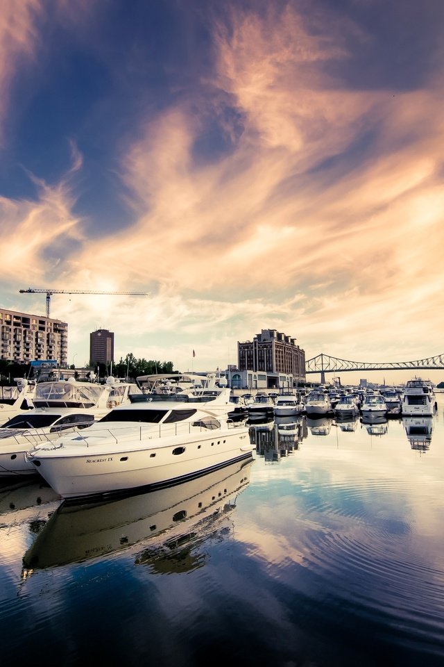 Обои небо, река, яхты, мост, город, дома, здания, катера, the sky, river, yachts, bridge, the city, home, building, boats разрешение 2571x1708 Загрузить