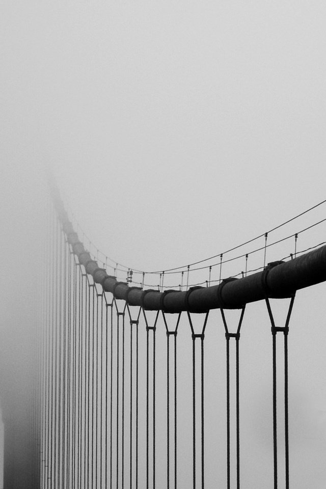 Обои туман, мост, чёрно-белое, fog, bridge, black and white разрешение 2560x1600 Загрузить