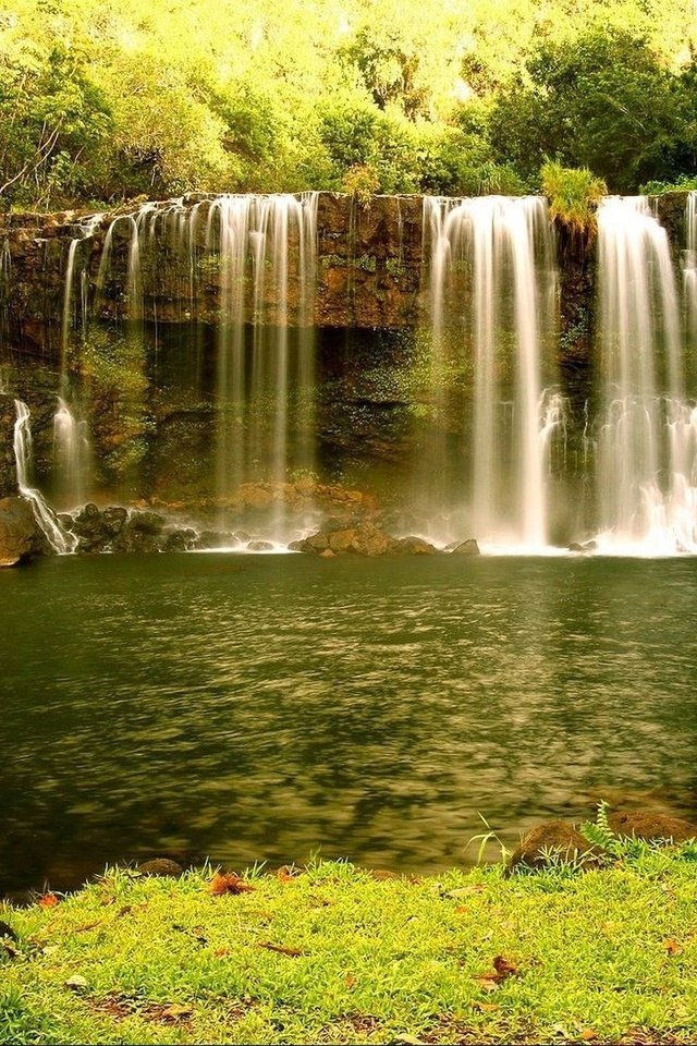 Обои вода, природа, лес, водопад, на природе, water, nature, forest, waterfall разрешение 1920x1312 Загрузить