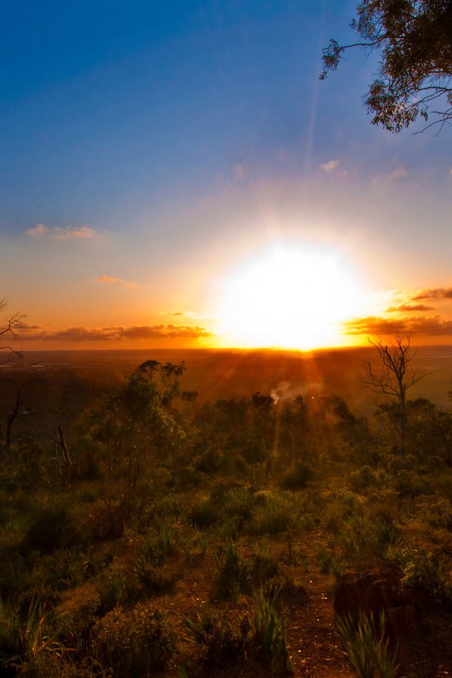 Обои деревья, солнце, закат, горизонт, лето, австралия, trees, the sun, sunset, horizon, summer, australia разрешение 2560x1600 Загрузить