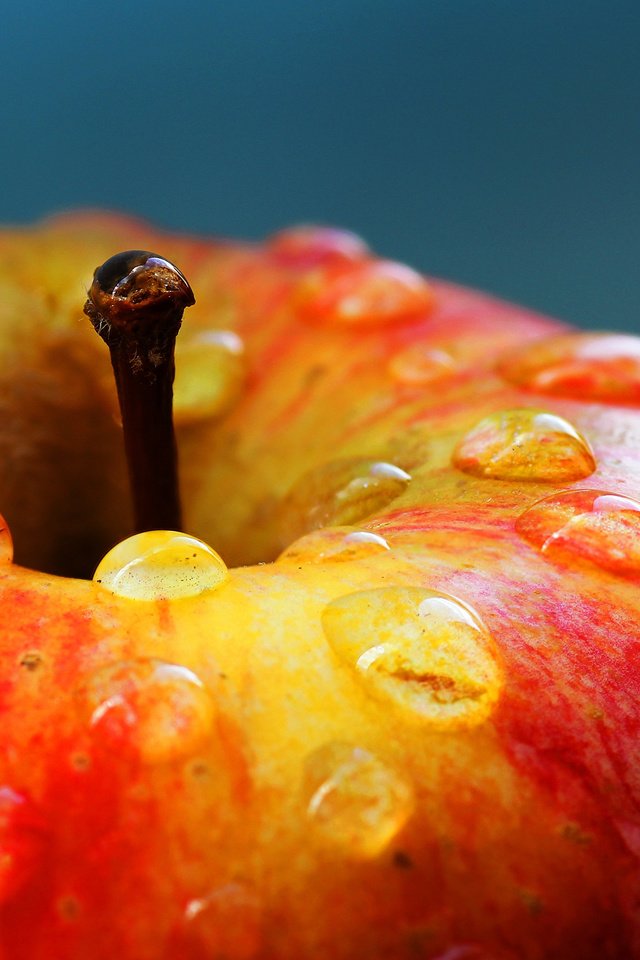 Обои макро, капли, фрукты, яблоко, красивое, румяное, наливное, macro, drops, fruit, apple, beautiful, ruddy, liquid разрешение 3500x2052 Загрузить