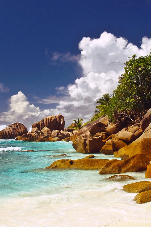 Обои камни, пляж, тропики, сейшелы, stones, beach, tropics, seychelles разрешение 1920x1080 Загрузить