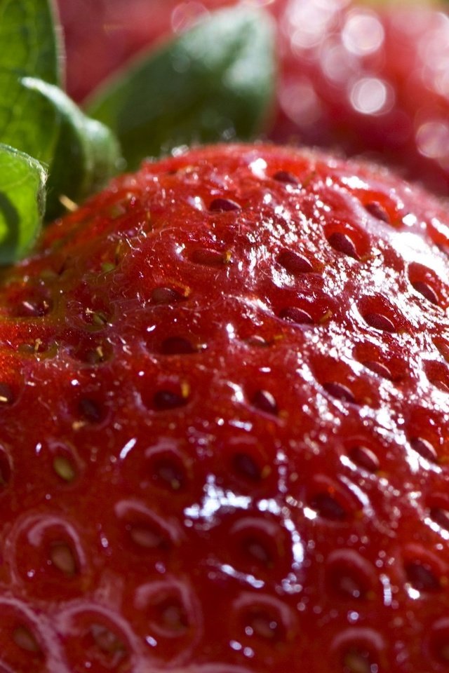 Обои макро, ягода, красная, клубника, macro, berry, red, strawberry разрешение 2560x1600 Загрузить