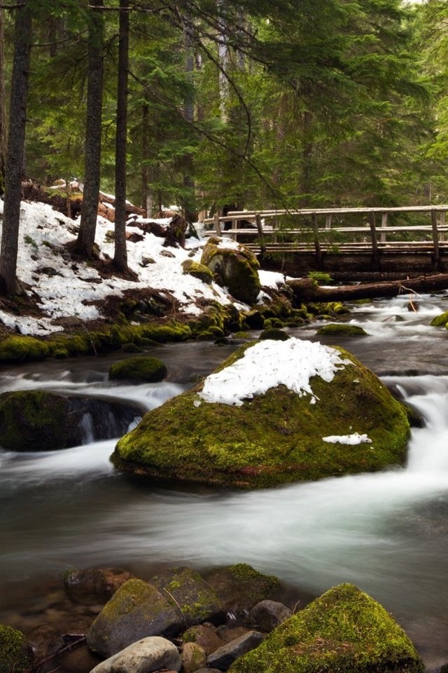 Обои деревья, сша, река, орегон, снег, природа, камни, лес, зима, мост, trees, usa, river, oregon, snow, nature, stones, forest, winter, bridge разрешение 2560x1600 Загрузить