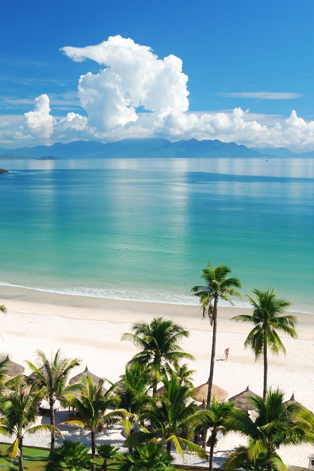 Обои пляж, пальмы, тропики, beach, palm trees, tropics разрешение 3804x2486 Загрузить