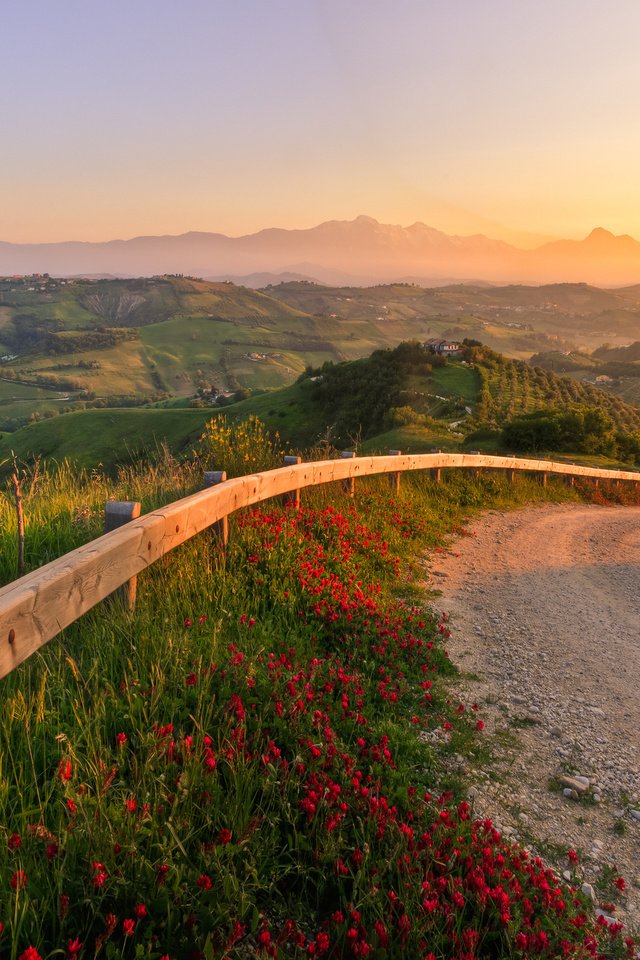 Обои дорога, цветы, трава, холмы, природа, закат, италия, road, flowers, grass, hills, nature, sunset, italy разрешение 2560x1600 Загрузить