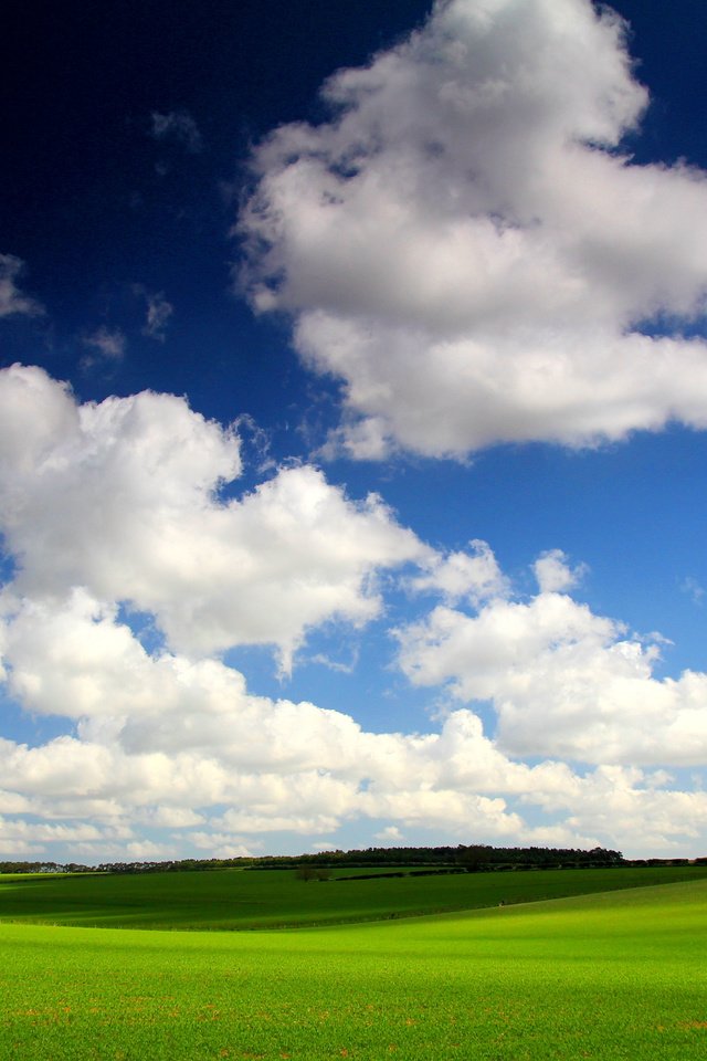 Обои небо, трава, облака, поле, горизонт, the sky, grass, clouds, field, horizon разрешение 5068x3379 Загрузить