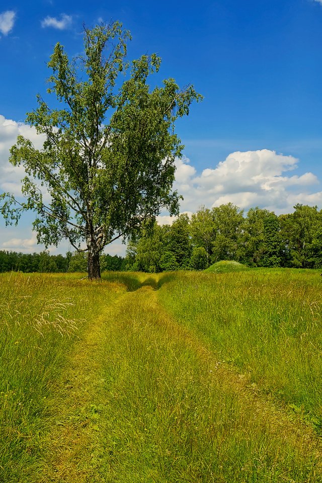 Обои поле, field разрешение 1920x1080 Загрузить