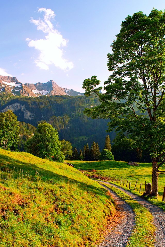 Обои дорога, горы, road, mountains разрешение 1920x1440 Загрузить