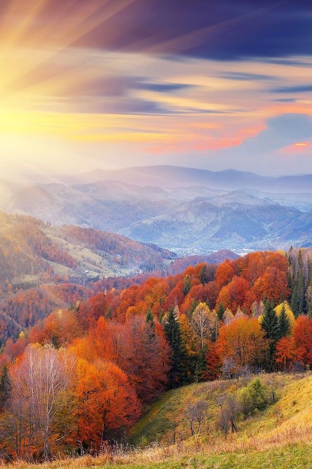 Обои горы, солнце, лес, осень, mountains, the sun, forest, autumn разрешение 1920x1080 Загрузить