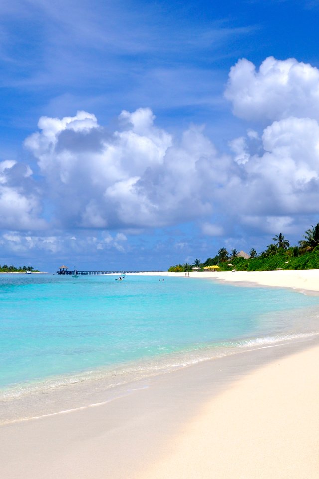 Обои пляж, остров, тропики, мальдивы, beach, island, tropics, the maldives разрешение 4074x2681 Загрузить
