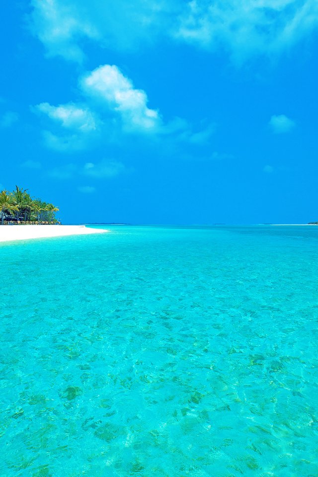 Обои пляж, остров, тропики, мальдивы, beach, island, tropics, the maldives разрешение 5076x3447 Загрузить