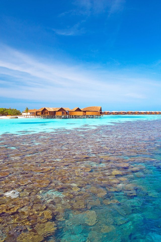 Обои море, пляж, остров, бунгало, тропики, мальдивы, sea, beach, island, bungalow, tropics, the maldives разрешение 4992x3320 Загрузить