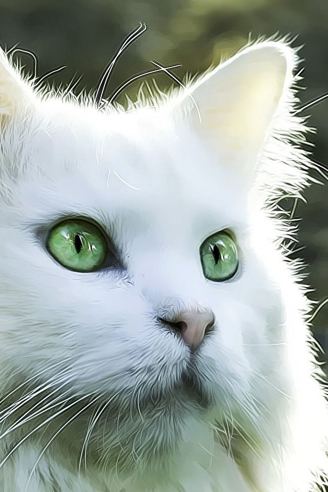 Обои рисунок, кот, кошка, взгляд, белый кот, figure, cat, look, white cat разрешение 2880x1800 Загрузить