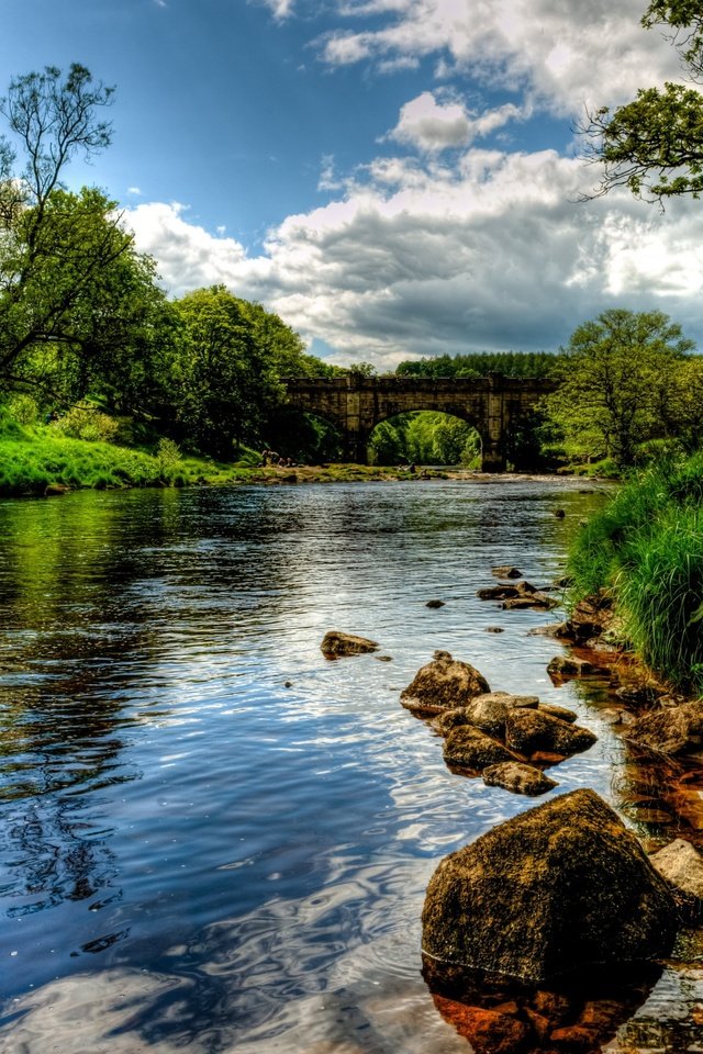 Обои деревья, река, природа, пейзаж, англия, trees, river, nature, landscape, england разрешение 2880x1800 Загрузить