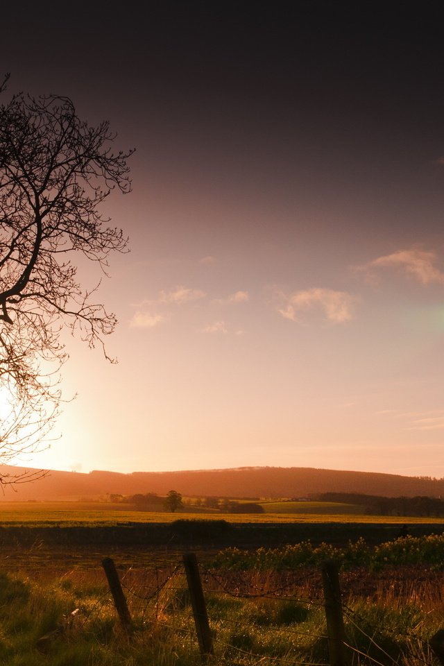 Обои дерево, закат, пейзаж, поле, забор, tree, sunset, landscape, field, the fence разрешение 2560x1600 Загрузить