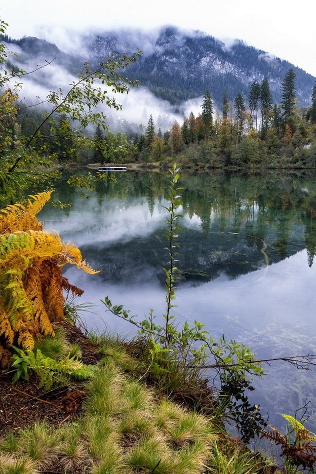 Обои река, горы, природа, лес, отражение, осень, папоротник, river, mountains, nature, forest, reflection, autumn, fern разрешение 2560x1600 Загрузить