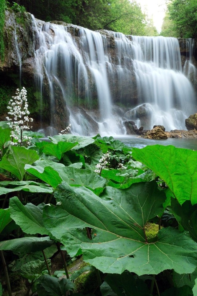 Обои деревья, растения, лес, листья, водопад, речка, trees, plants, forest, leaves, waterfall, river разрешение 2048x1348 Загрузить