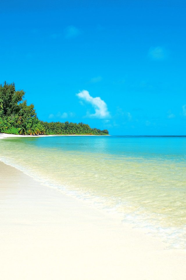 Обои море, пляж, отдых, остров, тропики, мальдивы, sea, beach, stay, island, tropics, the maldives разрешение 2577x1628 Загрузить