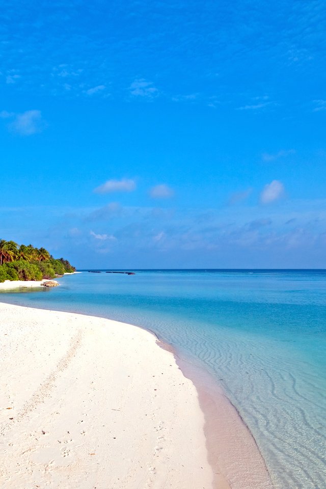 Обои море, пляж, отдых, остров, тропики, мальдивы, sea, beach, stay, island, tropics, the maldives разрешение 3779x2834 Загрузить