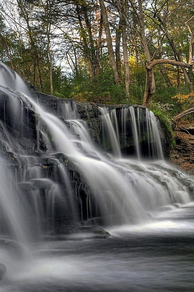 Обои водопад в лесу, waterfall in the forest разрешение 2560x1440 Загрузить