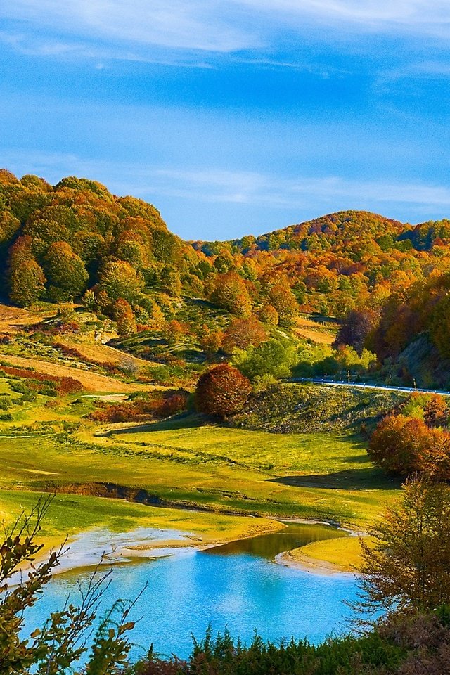 Обои красивый осенний лес на холмах, beautiful autumn forest in the hills разрешение 2560x1440 Загрузить