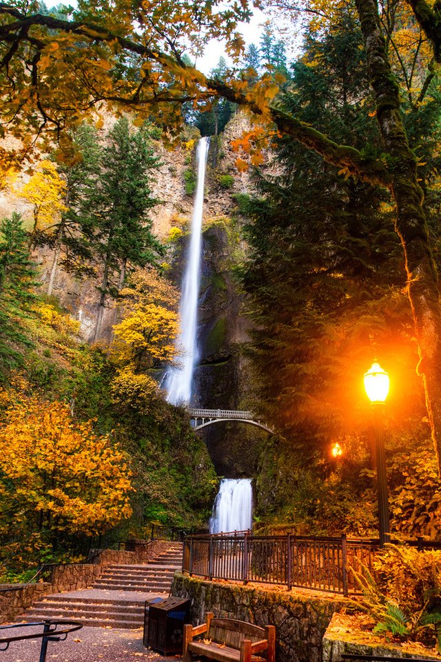 Обои пейзаж, парк, ущелье реки колумбия, штат орегон, multnomah falls, малтнома-фолс, водопад мультномах, landscape, park, the columbia river gorge, oregon разрешение 1920x1080 Загрузить