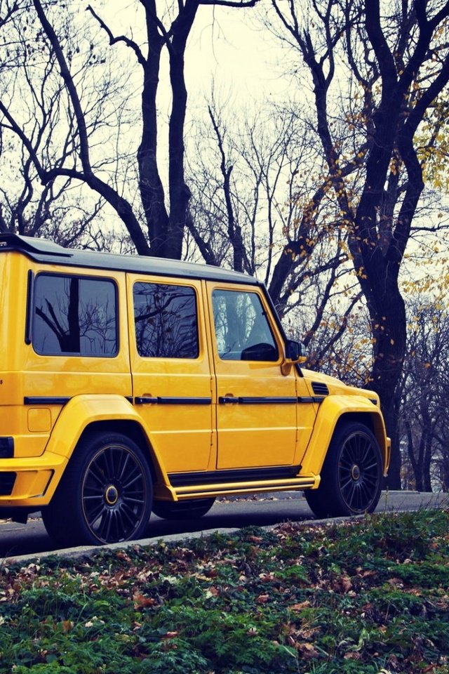 Обои желтый, осень, внедорожник, мерседес, мерседес бенц, g63, mansory gronos, yellow, autumn, suv, mercedes, mercedes benz разрешение 1920x1080 Загрузить