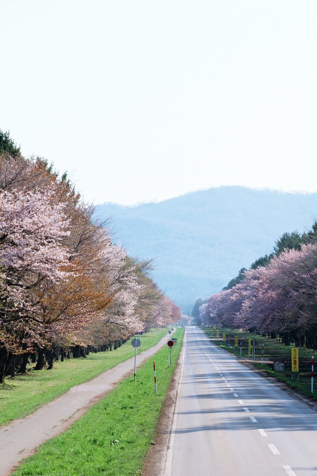 Обои хоккайдо, hokkaido разрешение 1920x1200 Загрузить