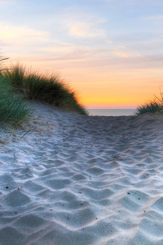 Обои трава, природа, берег, песок, пляж, побережье, grass, nature, shore, sand, beach, coast разрешение 1920x1080 Загрузить